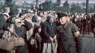 Einsatzgruppen The Nazi Death Squad WWII Documentary [upl. by Atnamas]