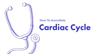 Cardiac Cycle  Learn How to Auscultate Part 2 [upl. by Osyth]