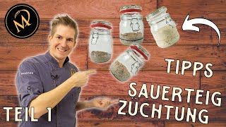 Meine Tipps zum Züchten von Sauerteig  Sauerteig Starter selber machen [upl. by Kavita]