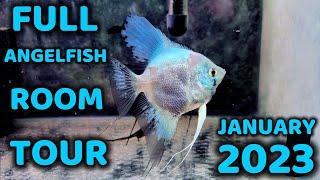 Angelfish Room Tour January 2023 [upl. by Ahtael]