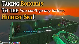 Bokoblins wanted to fly Link said quotyou can count on mequot in Zelda Tears of the Kingdom [upl. by Frayda]