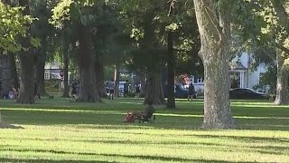 Sacramento park ranger overpowered by crowd after attempting to stop the use of illegal fireworks [upl. by Onaivatco302]