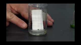 6 O Chem Thin Layer Chromatography CC [upl. by Enerol966]