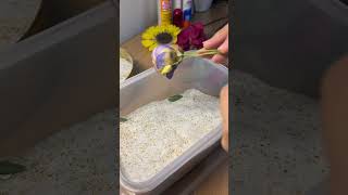 Preserve flowers with silica gel flowers flowerpreservation silicagel [upl. by Ateekan]