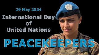 In Honor of UNIFIL Peacekeepers in South Lebanon [upl. by Attelahs831]