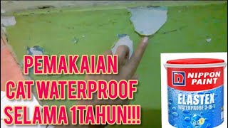 SETELAH 1 TAHUN PAKAI CAT WATERPROOF ELASTEX 3IN1 UNTUK DINSING RUANG TAMU [upl. by Bianka]