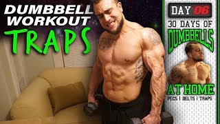 Dumbbell Trap Workout At Home  30 Days to Build Pecs Delts amp Trap Muscles  Dumbbells Only [upl. by Ahsha]