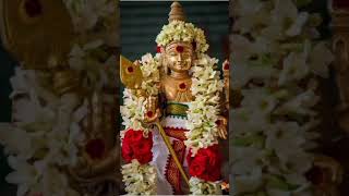 mannalum thiruchenduril mannaven murugan songs [upl. by Losiram]