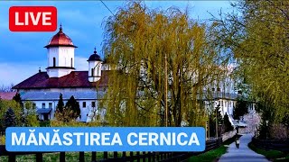 🔴 LIVE de la MĂNĂSTIREA CERNICA [upl. by Ennaear]