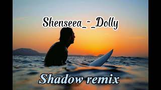 Shenseea  DollyShadow remix Moombahchill 2023 🇻🇺🇻🇺 [upl. by Ertemed979]