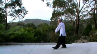 Wu Style Tai Chi 108 Movements Complete [upl. by Birkner]