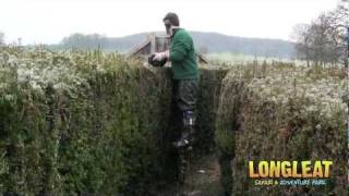 Longleat Maze Takes Hightech Approach to Hedge Trimming [upl. by Donald]