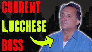 Mafia Documentary The Lucchese Crime Family [upl. by Rubinstein180]