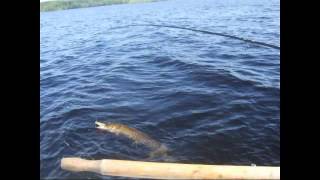 fishing pike at teakersjön in sweden  Hecht angeln in Schweden [upl. by Aig259]