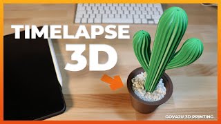 IMPRESIONANTE TIMELAPSE 3D  🌵 Cactus 🌵 para decorar CON IMPRESIÓN 3D  Prusa mk3s [upl. by Negeam]