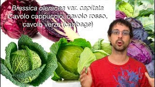 quotQuello che sorpassa ogni altro vegetalequot [upl. by Ynez85]