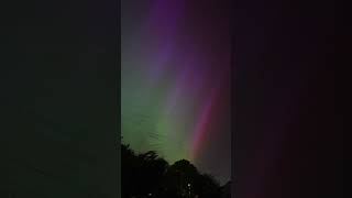 Northern lights over OXFORD  11th May 2024 shorts aurora [upl. by Baal]