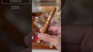 Quintero Panetelas explore cigarstyle fyp [upl. by Aneelehs]