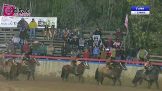 Rodeo Cauquenes  2° Serie Libre [upl. by Ajssatsan]