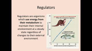 Higher Biology  24 Metabolism in Conformers and Regulators [upl. by Eeral]