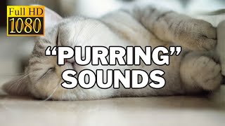 Cat Purring Sounds for Relaxation and Stress Relief [upl. by Anesuza126]