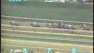 1988 Santa Anita Derby [upl. by Ecahc75]