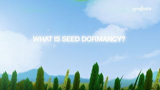 What is seed dormancy [upl. by Cy]