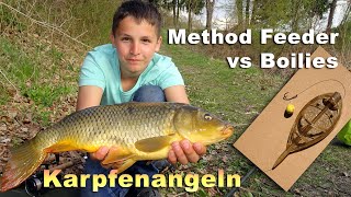 Karpfenangeln  Method Feeder Montage vs Boilies  Angeln auf Karpfen im Waldviertel im April [upl. by Refeinnej]