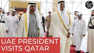 UAE President meets Sheikh Mohammed bin Rashid at Qasr Al Bahr [upl. by Trutko820]