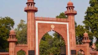 AMU Tarana Aligarh Muslim University [upl. by Itnaihc]