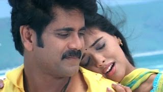 Shivamani Telugu Movie  Yenaatiki Video Songs  Nagarjuna Asin [upl. by Ientirb]