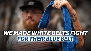 22 BJJ WHITE BELTS FIGHT FOR A BLUE BELT [upl. by Landis]