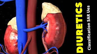 Diuretics Classification SAR and Mechanism of Action of Diuretics [upl. by Kciredohr]