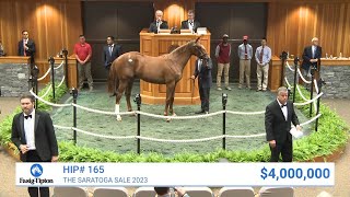 Curlin colt oo Beholder sells for 4000000 at The Saratoga Sale 2023 [upl. by Trent]