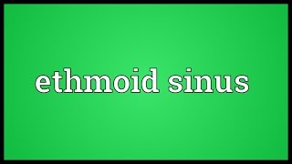 Ethmoid sinus Meaning [upl. by Htebilil]