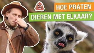 ZO PRATEN DIEREN MET ELKAAR 😱🐘  Op pad met Niels 28 [upl. by Remo]