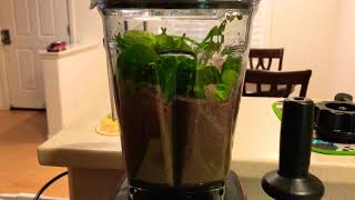 Vitamix Venturist  Smoothie [upl. by Akinahc78]