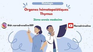 thymus histologie 2ème année medecine شرح بالدارجة و الرسم [upl. by Christophe]