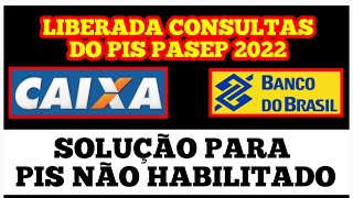 PAGAMENTO DE DOIS PIS  PISPasep Aplicativo Caixa Tem libera consulta de valores do abono salarial [upl. by Alisan891]