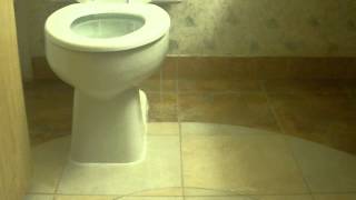 Toilet Overflows in Hotel Restroom Rapid City [upl. by Ecnerewal]