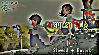 Boka Pakhi 2  slowedreverb  পাখি আমার বোকা না  বোকা পাখি ২  Atif Ahmed Niloy Lofi Song [upl. by Ahsirtal583]