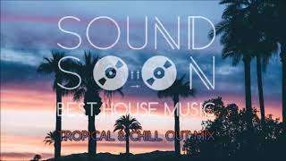 MUSICA DA APERITIVO RELAX 2020 TROPICAL HOUSE 🌴 Dua Lipa Martin Garrix Kygo Sia Style 🌴 Chill Out [upl. by Ahsikahs]