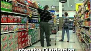 PepsiAmericas A Bottler Wholesaler in the Pepsi Channel of Distribution 2 [upl. by Adyl]