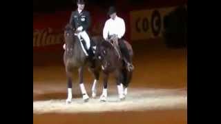 Dressage vs Western [upl. by Johen]