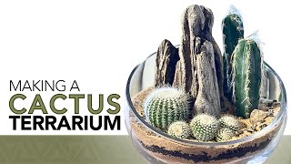 Making a cactus terrarium [upl. by Tarra]