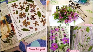 How to Make Herbarium [upl. by Fiedler]