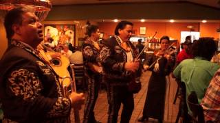 Orange Blossom Special MARIACHI FESTIVO Call Robert Rivera 4076374199 [upl. by Tiduj221]