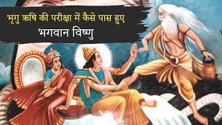 भृगु ऋषि की परीक्षा में कैसे पास हुए भगवान विष्णु  Bhrigu Rishi and Vishnu Story In Hindi [upl. by Berkley]