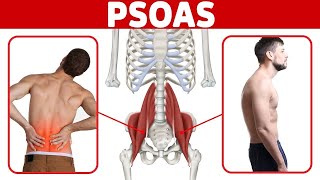 The BEST Way to Release a Tight Psoas Muscle for Low Back Pain and Poor Posture [upl. by Rapsag]