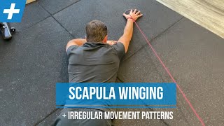 Winged Scapula Exercises ✴️ How to take care of your Shoulder Blades [upl. by Stegman]